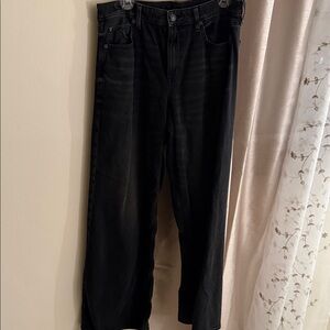 American Eagle Women Wide leg Pants